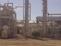View of Plant
